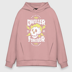 Толстовка оверсайз мужская Dweller Forever, цвет: пыльно-розовый