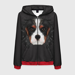 Толстовка 3D на молнии мужская Cavalier King Charles, цвет: 3D-красный