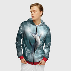 Толстовка 3D на молнии мужская Грозовой кошак, цвет: 3D-красный — фото 2