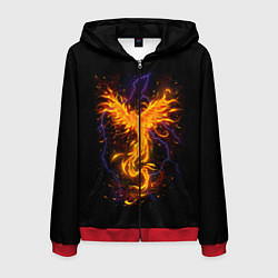 Мужская толстовка на молнии Phoenix
