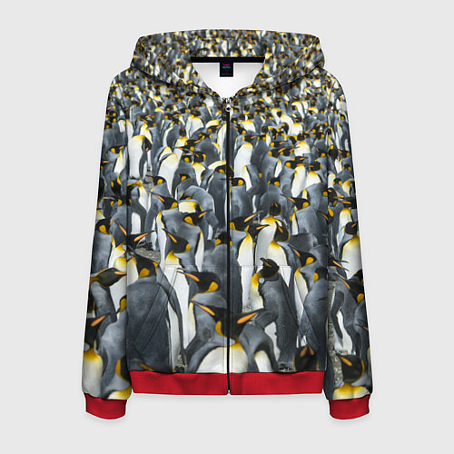 Мужская толстовка на молнии Пингвины Penguins / 3D-Красный – фото 1