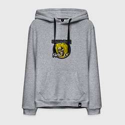 Толстовка-худи хлопковая мужская Iron Maiden Killers, цвет: меланж