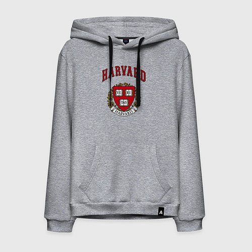 Мужская толстовка-худи Harvard university / Меланж – фото 1