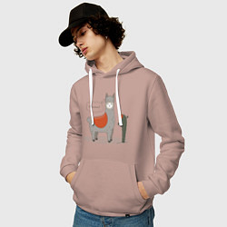 Толстовка-худи хлопковая мужская Alpaca Llama, цвет: пыльно-розовый — фото 2