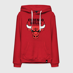 Толстовка-худи хлопковая мужская Chicago Bulls цвета красный — фото 1