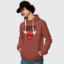 Толстовка-худи хлопковая мужская Chicago Bulls, цвет: кирпичный — фото 2