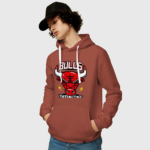 Мужская толстовка-худи Chicago Bulls est. 1966 / Кирпичный – фото 3