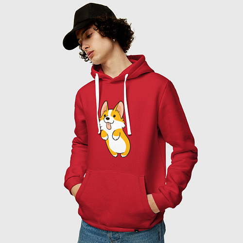 Мужская толстовка-худи Корги лапочка / Красный – фото 3