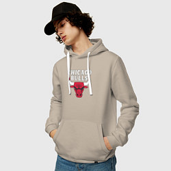 Толстовка-худи хлопковая мужская CHICAGO BULLS, цвет: миндальный — фото 2