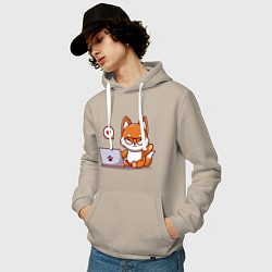 Толстовка-худи хлопковая мужская Cute fox and laptop, цвет: миндальный — фото 2