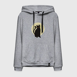Толстовка-худи хлопковая мужская Moon Cat, цвет: меланж