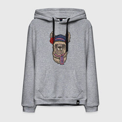 Толстовка-худи хлопковая мужская Славянская лама, цвет: меланж