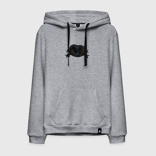 Мужская толстовка-худи Настроение дождевой лягушки / Меланж – фото 1