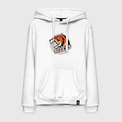 Толстовка-худи хлопковая мужская Sport Tigers, цвет: белый