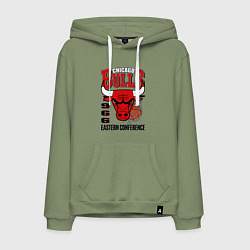 Толстовка-худи хлопковая мужская Chicago Bulls NBA, цвет: авокадо