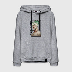 Толстовка-худи хлопковая мужская Доктор Стоун Сенку Ишигами, цвет: меланж