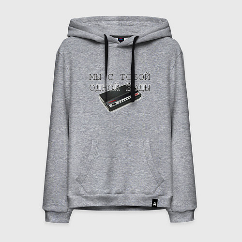 Мужская толстовка-худи Мы с тобой одной ноды / Меланж – фото 1
