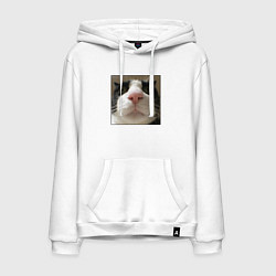 Толстовка-худи хлопковая мужская Задумчивый кот, цвет: белый