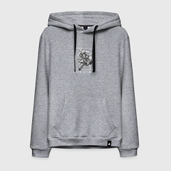 Толстовка-худи хлопковая мужская Ирума Клара и Элис, цвет: меланж