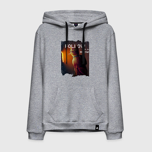 Мужская толстовка-худи STRAY FOLLOW MEOW / Меланж – фото 1