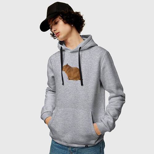 Мужская толстовка-худи Капибара сидит и спит / Меланж – фото 3