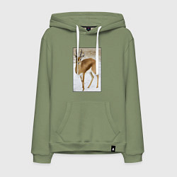 Толстовка-худи хлопковая мужская Газель на снегу, цвет: авокадо