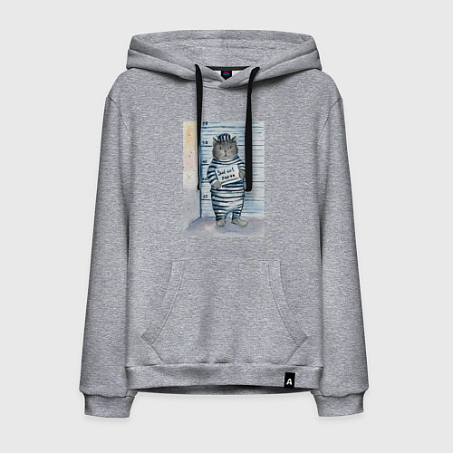 Мужская толстовка-худи Акварельный рисунок плохой кот / Меланж – фото 1