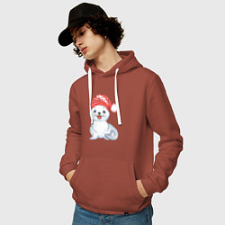 Толстовка-худи хлопковая мужская Новогодний тюлень, цвет: кирпичный — фото 2