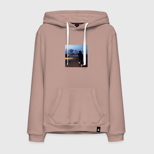 Мужская толстовка-худи Pharaoh Philarmonia / Пыльно-розовый – фото 1