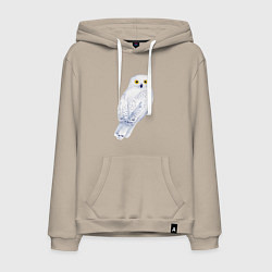 Толстовка-худи хлопковая мужская Белая полярная сова, цвет: миндальный