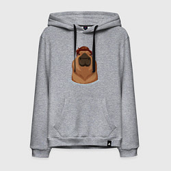 Толстовка-худи хлопковая мужская Капибара гигачад с шевелюрой, цвет: меланж