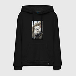 Толстовка-худи хлопковая мужская Санкт-Петербург котик, цвет: черный