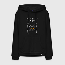 Толстовка-худи хлопковая мужская Pink Floyd rock cat, цвет: черный