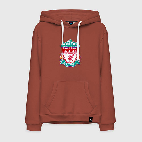 Мужская толстовка-худи Liverpool fc sport collection / Кирпичный – фото 1