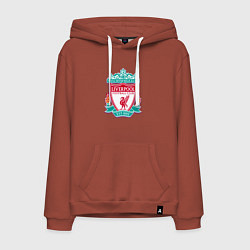 Толстовка-худи хлопковая мужская Liverpool fc sport collection, цвет: кирпичный