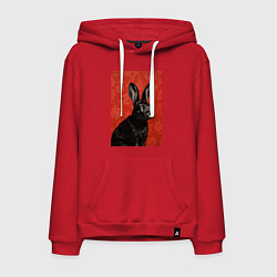 Толстовка-худи хлопковая мужская Черный кролик на красном фоне, цвет: красный