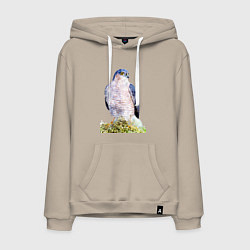 Толстовка-худи хлопковая мужская Молодой сокол, цвет: миндальный