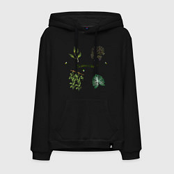 Толстовка-худи хлопковая мужская The botanical world warm, цвет: черный
