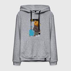 Толстовка-худи хлопковая мужская Плюшевый медведь путешественник, цвет: меланж