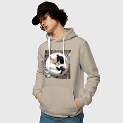Толстовка-худи хлопковая мужская Два любящих котика обнимаются клубочком, цвет: миндальный — фото 2