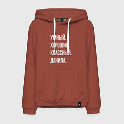 Толстовка-худи хлопковая мужская Умный хороший классный Данила, цвет: кирпичный