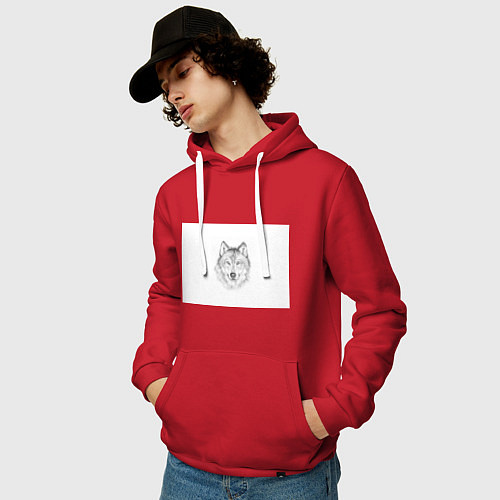 Мужская толстовка-худи Нарисованный волк зубами щёлк / Красный – фото 3