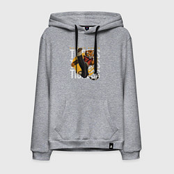 Толстовка-худи хлопковая мужская Мастер Тигрица кунг фу панда, цвет: меланж