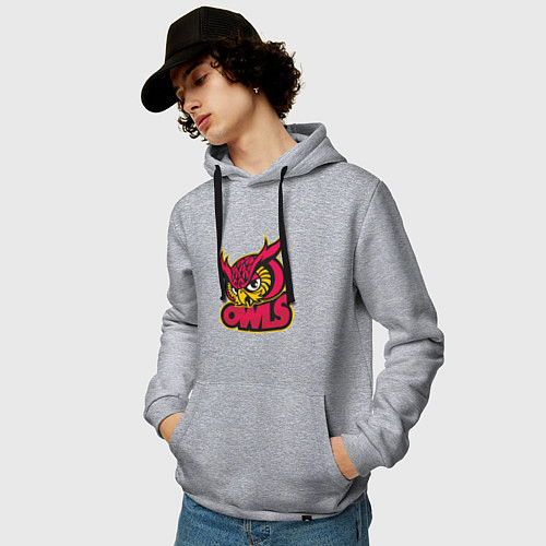 Мужская толстовка-худи Team owls / Меланж – фото 3