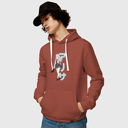 Толстовка-худи хлопковая мужская Алиса Михайловна - Аля иногда кокетничает со мной, цвет: кирпичный — фото 2