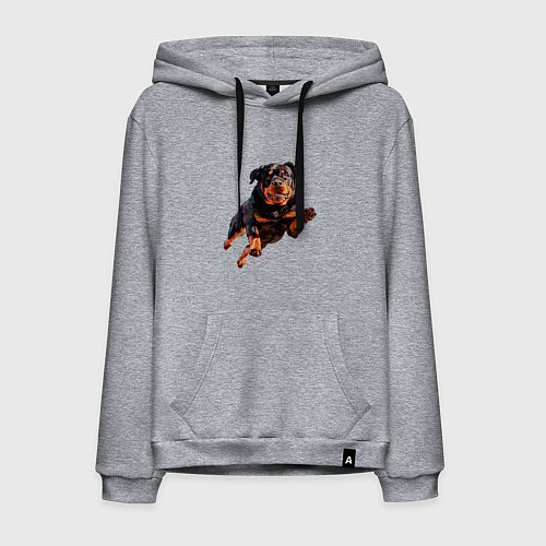 Мужская толстовка-худи Hunter Dog - Ротвейлер ГТА в прыжке / Меланж – фото 1