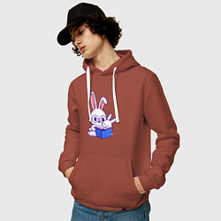 Толстовка-худи хлопковая мужская Кролики с книжкой, цвет: кирпичный — фото 2