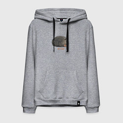 Толстовка-худи хлопковая мужская Милый толстый тюлень из мема штош, цвет: меланж