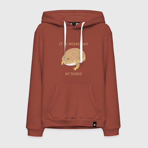 Мужская толстовка-худи Жаба из мема среда мои чуваки / Кирпичный – фото 1