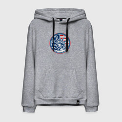 Толстовка-худи хлопковая мужская USA flag New York, цвет: меланж